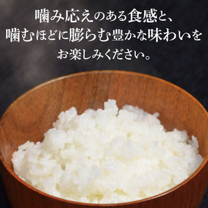 【茨城県共通返礼品】令和7年産 茨城県産　ふくまる 10kg（5kg×2袋）【お米 米 ごはん 茨城県】（03-62-1）