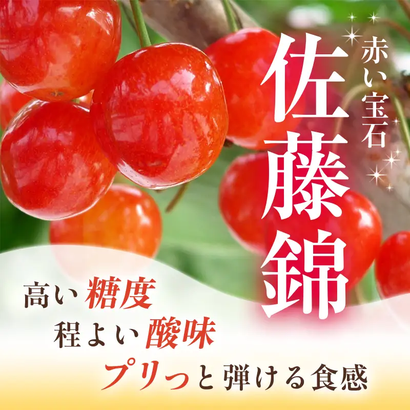 さくらんぼ ( 佐藤錦 ) 300g Lサイズ以上 サクランボ