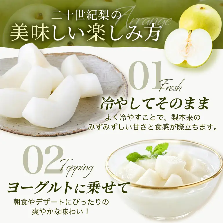 梨 2026年 先行予約 二十世紀梨 5kg 12～14玉 果物 なし 広島県 安芸高田市 A74-001