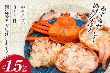 【期間限定発送】 【漁師厳選】 紅ズワイガニ ボイル済 中サイズ3～4杯 計1.5kg前後