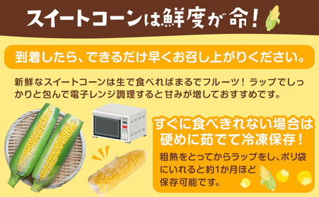スイートコーン 7～8本 350g前後 わらく農園《2027年6月上旬-6月末頃出荷》