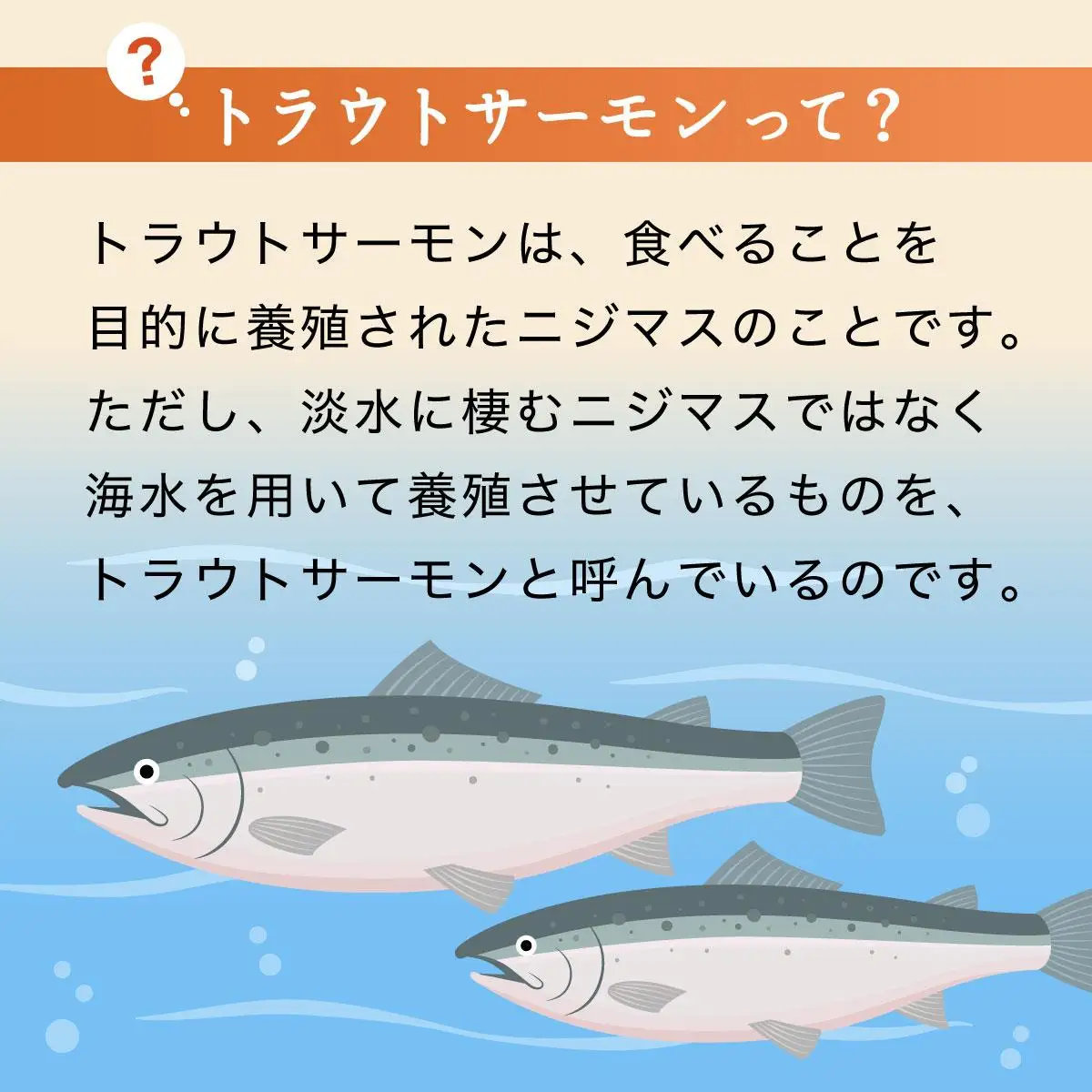 トラウトサーモンのちゃんちゃん焼き×3