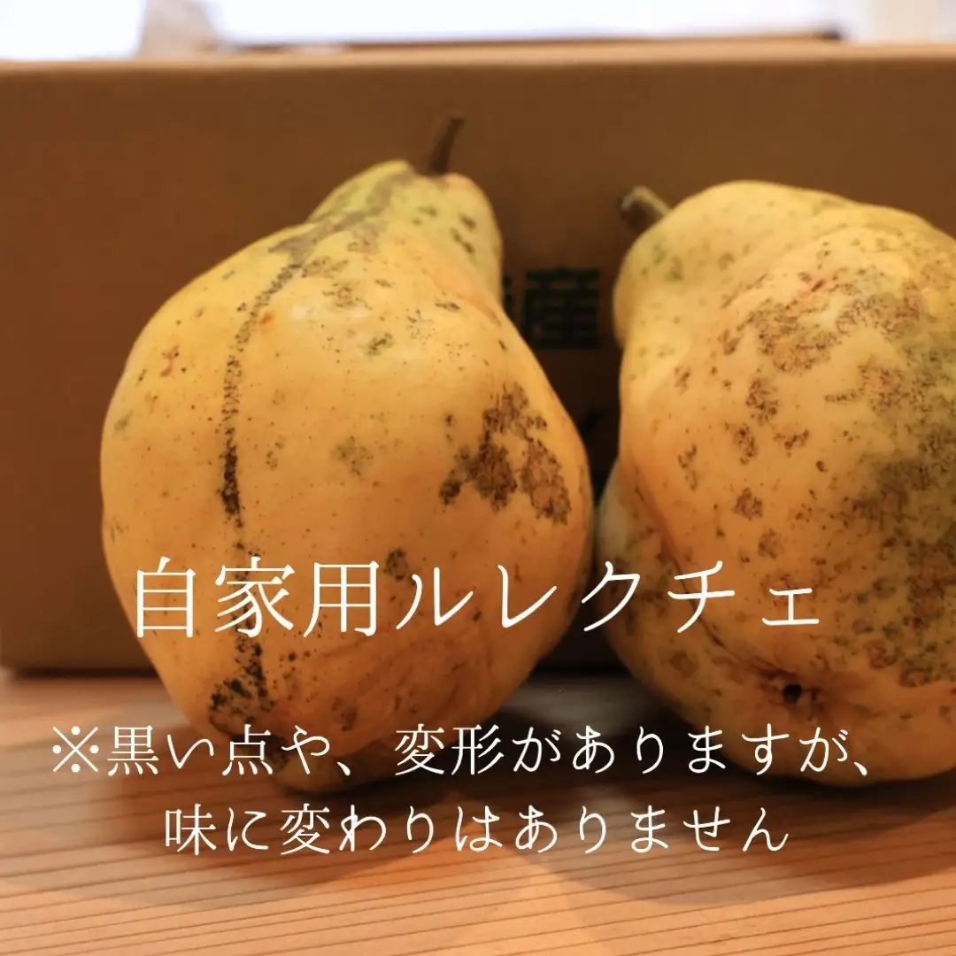 [2026年産先行予約] ル・レクチェ2kg 自家用 新潟県三条市産 [しなのがわジューシーファーム] 洋梨の貴婦人 新潟県産 洋梨 【010S687】