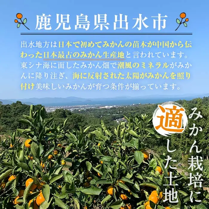 i1059-A 【特別栽培・最高金賞】濃甘あめ玉みかん～プレミアム 匠～(約2kg・Sサイズ) みかん 蜜柑 ミカン 柑橘 果物 フルーツ 果実 国産 鹿児島 プレゼント 贈答用 贈り物 【Farmer friends Marche】