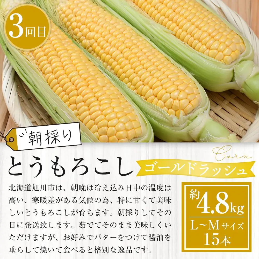 【27年発送先行予約】旬の野菜・フルーツ定期便A 3ヶ月（アスパラ・メロン・とうもろこし）2027年5月下旬より順次発送開始予定 | 定期便 北海道産 _04539