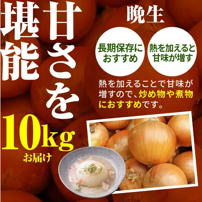 【先行予約 2027年3月～発送】【2回定期便】玉ねぎ定期便 10kg/回 / 玉ねぎ [IAO027]