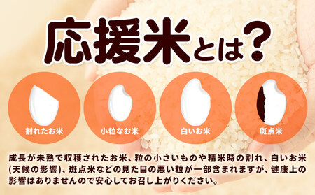 令和6年産 米 10kg お米 白米 10キロ 紀の川応援米《30日以内に出荷予定（土日祝除く）》和歌山県 紀の川市 送料無料 国産 こめ 米 白米 精米 米 米 st-p