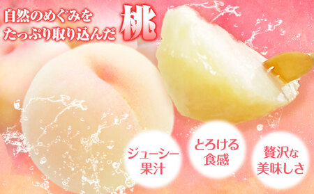 【先行予約】桃 川中島白桃 紀の川市産 約2kg(6-9玉) 紀農人株式会社