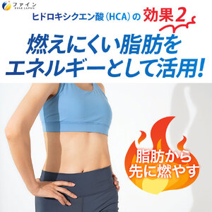 H-227　【機能性表示食品】イオンドリンク燃焼プラス×２個セット