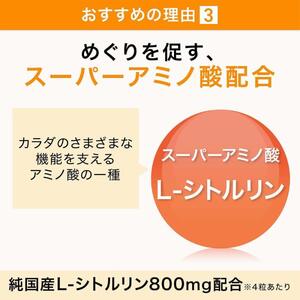 サントリーウエルネス グラン マカ 120粒入 約30日分 ハードカプセル 3大成分 活力 毎日 サポート スーパーアミノ酸 L-シトルリン 亜鉛 静岡県 富士市 [sf061-011]