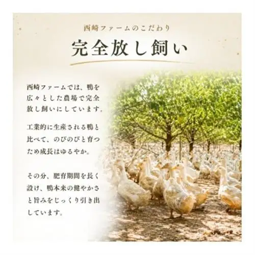 鴨鍋の素4人前 鴨スープ1kg＆鴨モモ肉2羽分(計800～900g)| 鴨 かも 茨城県かすみがうら_惣菜・加工品 肉 鍋 なべ ナベ_【配送不可地域：離島】【1577230】