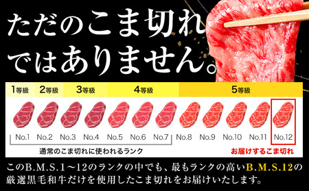黒毛和牛 こま切れ 黒毛和牛 約3kg