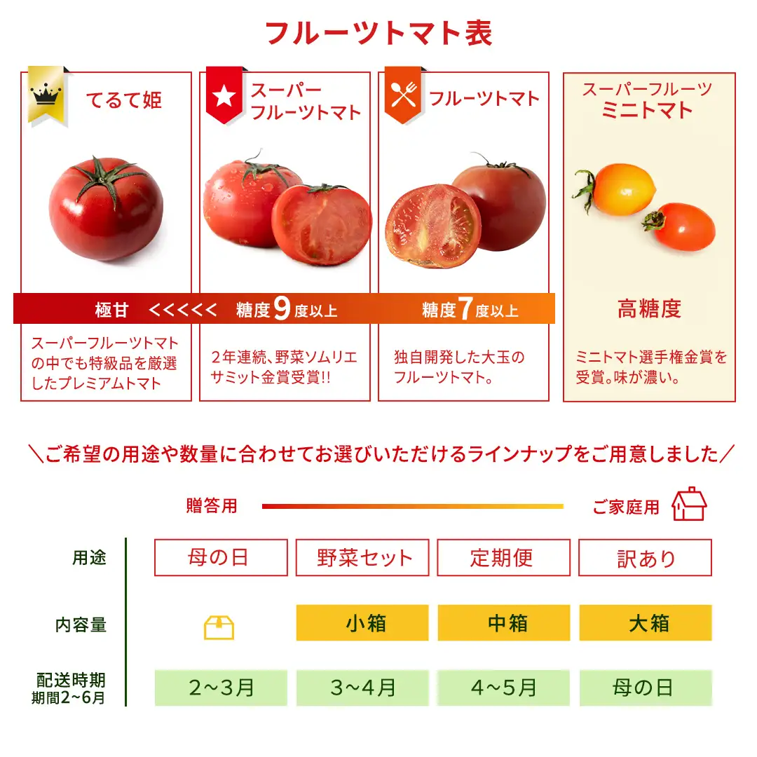 《 2027年 収穫分 》2～6月配送 スーパーフルーツトマト てるて姫 大箱 約2.6kg × 1箱 【20～35玉/1箱】 糖度9度以上 先行予約 フルーツトマト ブランドトマト 野菜 ギフト 贈答 青空レストラン アド街ック天国 グッドモーニング 黄金のワンスプーン 昼めし旅 [BC085sa]