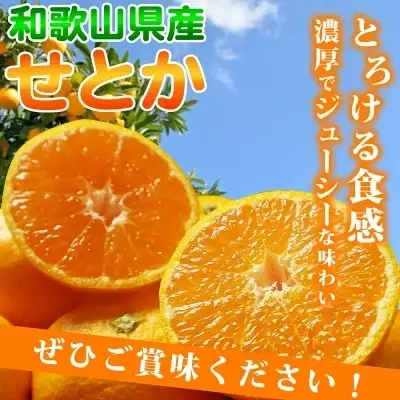 【2027年先行予約】【家庭用 訳あり】 とろける食感！ジューシー柑橘 せとか ミカン 春みかん 果物 果実 フルーツ 柑橘 デザート お取り寄せ 和歌山県 湯浅町 送料無料_G7354