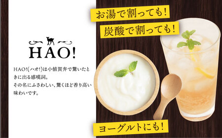HAO!ジンジャーシロップ 160g×10   [DAA049] 生姜 シロップ