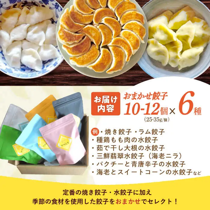 餃子 6種おまかせ便 / ギョウザ ぎょうざ 餃子 焼餃子 水餃子 冷凍 / 諫早市 / 餃子のかわしも [AHBM005]