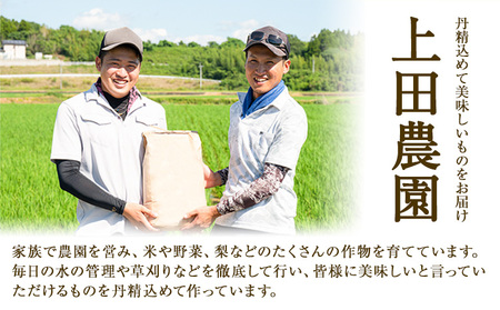 令和7年産 米 にこまる ひのひかり 食べ比べ 約10kg ( 各 5kg ) こめ コメ 白米 上田農園《30日以内に出荷予定(土日祝除く)》 熊本県 荒尾市