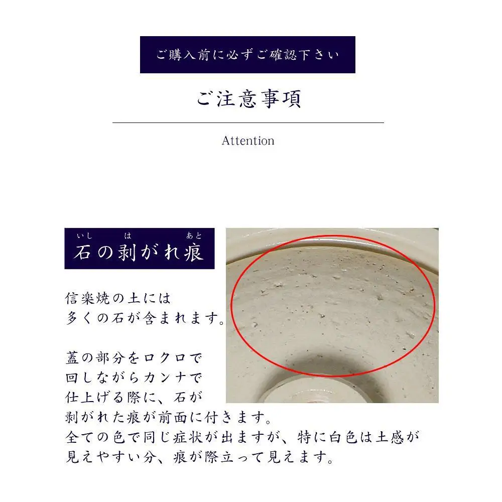 信楽焼 10号土鍋 ご飯鍋（きなり色）