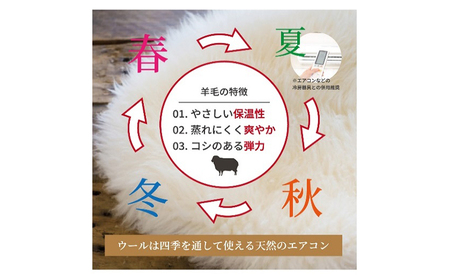 夏はさらっと、冬はぽかぽか、オールシーズン羊毛混掛布団 150×210cm 寝具 掛布団 布団 シングルロング 新潟市 新潟 ピンク