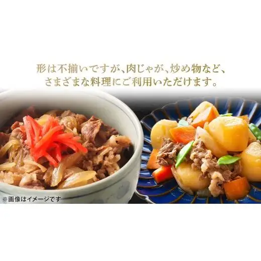【 定期便 隔月 3回 】上州牛 切り落とし 1kg ( 500g × 2パック ) [AH029tu]