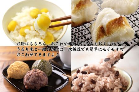 もち米『こがねもち』 1.5kg  (約1升) 新潟県産 【令和7年産】つやつやモチモチ もち米ならではの芳醇な香り 百姓や伝六 1等米【もち米 餅 赤飯 おこわ ふるさと納税 米 ブランド米 黄金餅 もち米 2025年産】