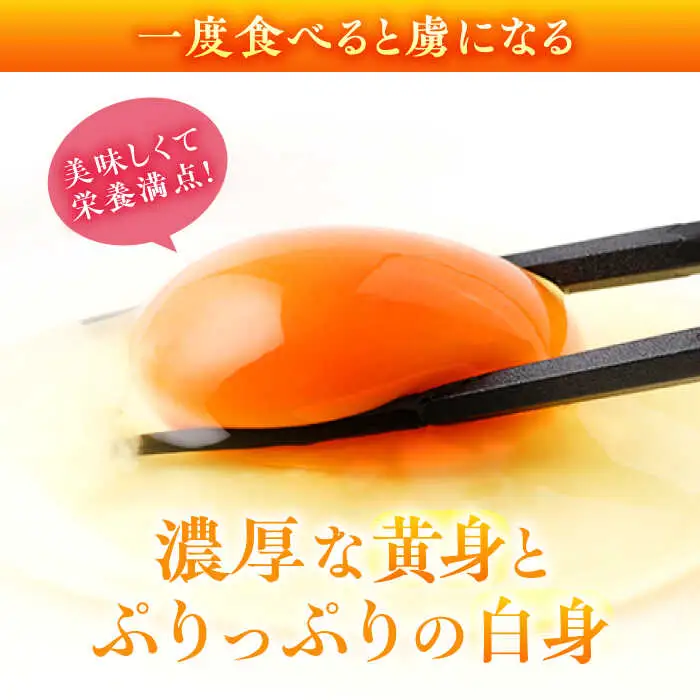 卵 オメガ卵輝40個 NCJ001 