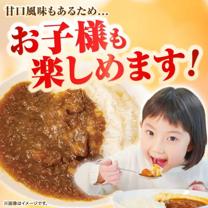 【お中元】壱岐牛カレースペシャルセット（辛口／中辛／甘口）《壱岐市》【壱岐フードファクトリー】 常温配送 レトルトカレー ご当地 常温 レトルト 簡単調理 ギフト [JDW034]