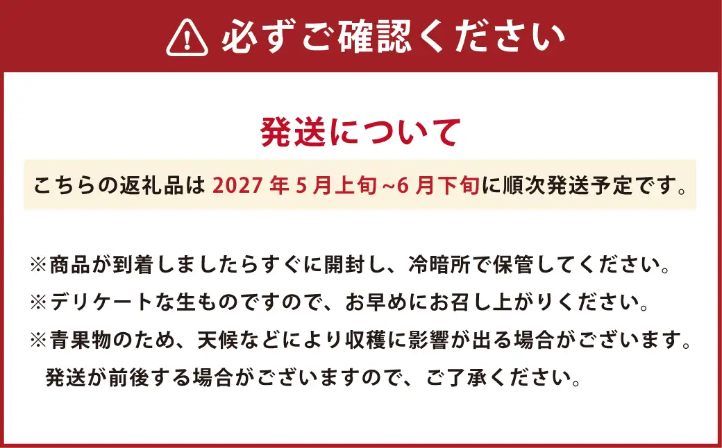 ＜ R8年熊本地震復興支援 ＞熊本県産 肥後グリーンメロン 2玉 果物 フルーツ メロン【2027年5月上旬～6月下旬迄順次発送予定】