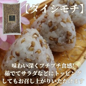 CIC02_佐賀県産『もち麦』食べ比べ！キラリモチ３kg、ダイシモチ３kg（計６㎏）