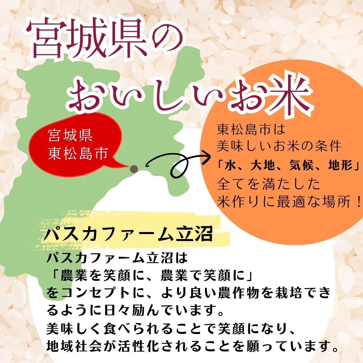 【先行予約】 ササニシキ 精米 10kg 令和8年  宮城県産 パスカファーム B ササニシキ