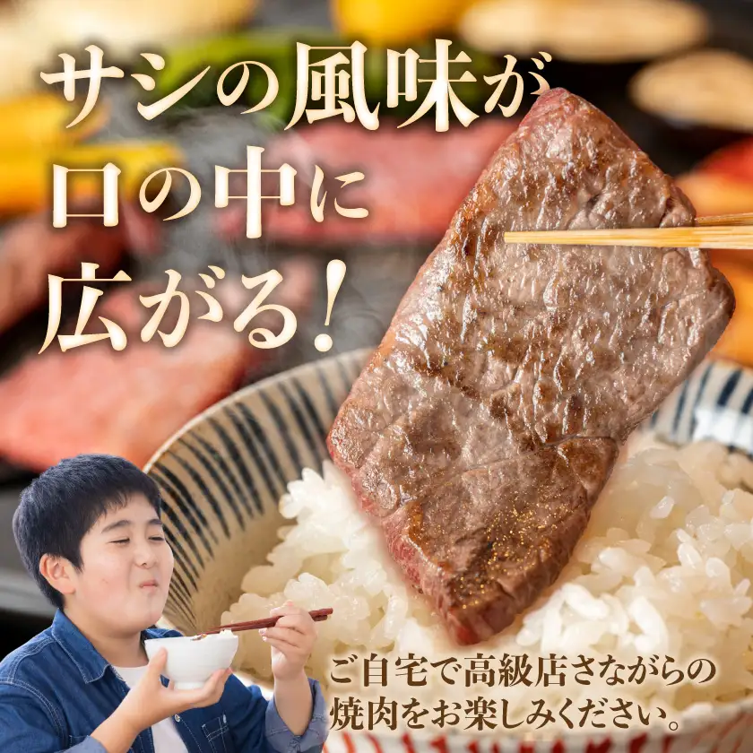 宮崎牛霜降りカルビ焼肉800g〔AD-2602〕_(都城市) 宮崎県産黒毛和牛 宮崎牛 A4ランク 4等級 牛肉 霜降りカルビ 400g×2P 計800g 宮崎牛バラ肉 牛ロース肉 焼肉