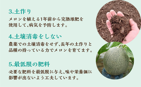 【定期便】《先行予約》 メロン堪能定期便 3回  水野農園