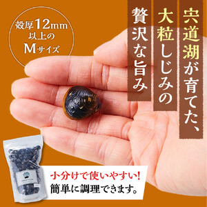 漁師直送！宍道湖産ヤマトシジミ・Mサイズ冷凍2.4kg