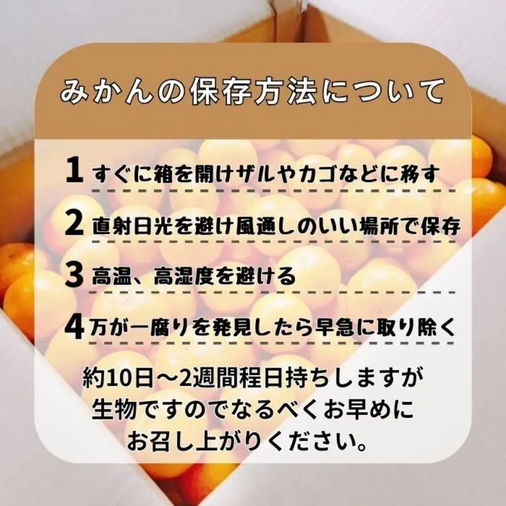 有田みかん 早生S〜Lサイズ混合 約10kg