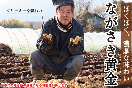 BI210 じゃがいも ＆ 人参 セット ( ながさき黄金＆冬人参 ) 約 10kg