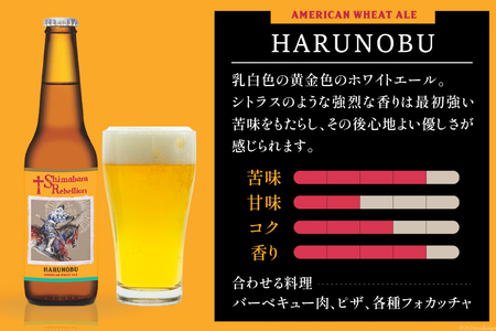 BI235 ビール 島原レベリオンビール 330ml (晴信/四郎) 各1本 2本 セット