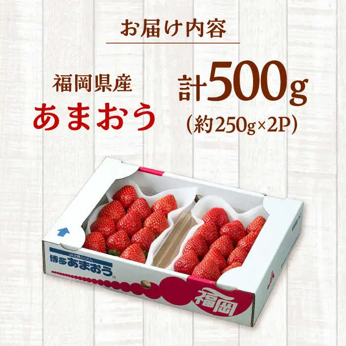 【2026年12月上旬より発送】福岡産【冬】 あまおう 2パック 桂川町/南国フルーツ株式会社 [ADBW011] あまおう 博多 福岡