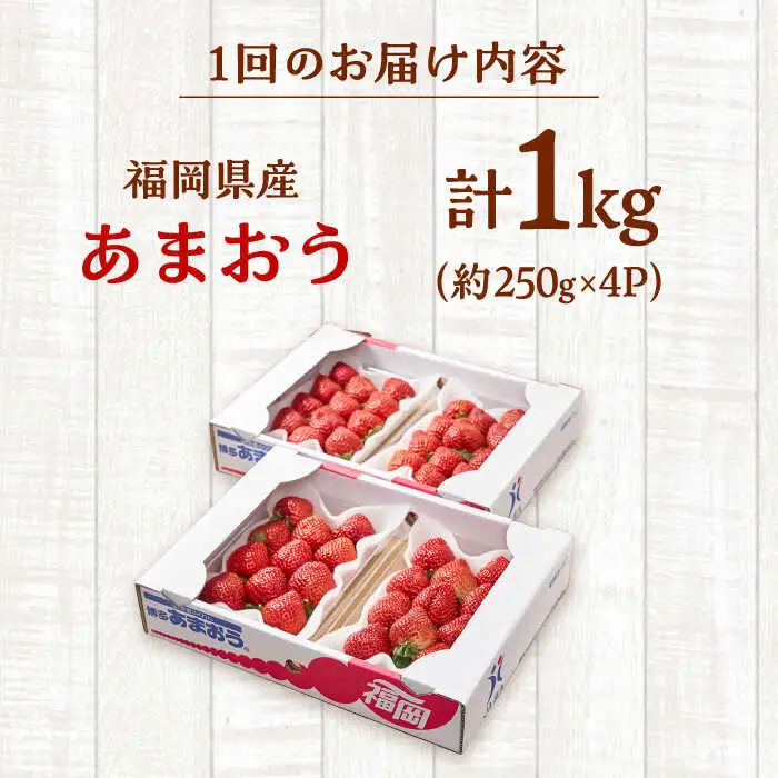 【全2回定期便】福岡産【春】いちご あまおう4パック 桂川町/南国フルーツ株式会社 [ADBW042] あまおう 苺 イチゴ あまおう 定期便