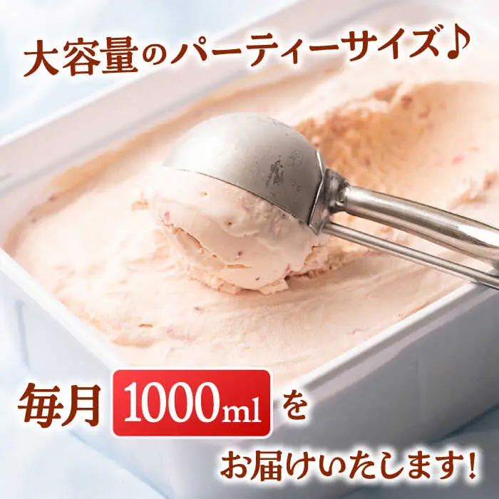 【全6回定期便】福岡産 あまおう ジェラート 1000ml 桂川町/南国フルーツ株式会社 [ADBW049] あまおう ジェラート あまおういちごアイス