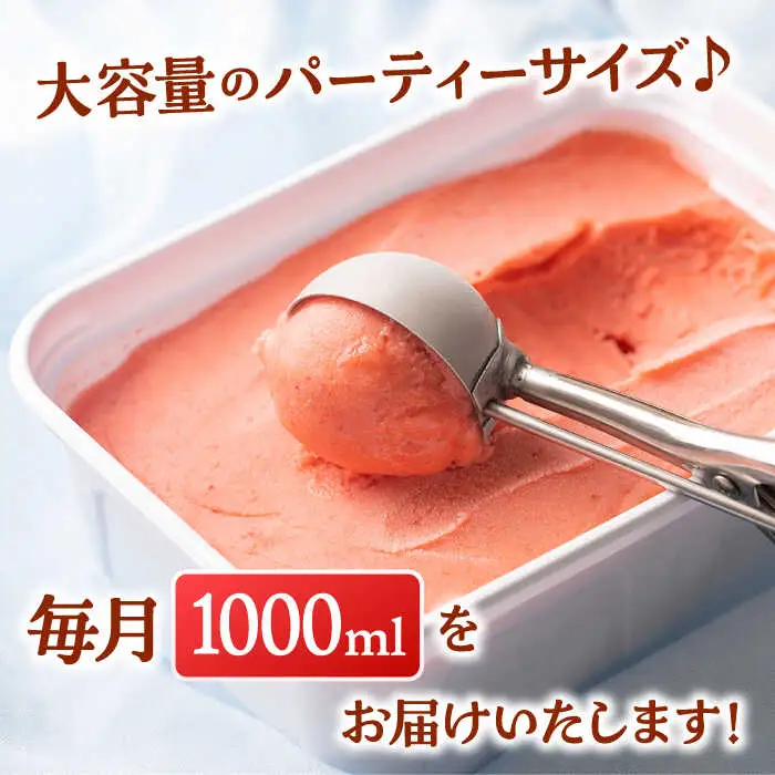 【全3回定期便】福岡産 濃厚 あまおう ジェラート 1000ml 桂川町/南国フルーツ株式会社 [ADBW051] あまおう ジェラート あまおういちごアイス