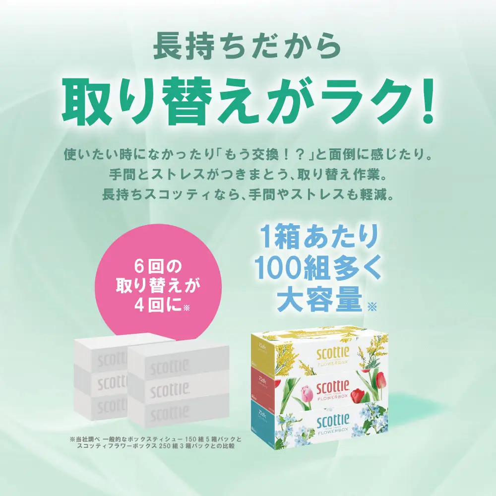 スコッティ ティッシュ 250組 5箱 ティシュー