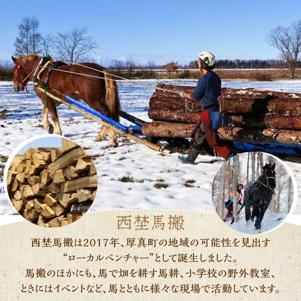 【全2回定期便】北海道 ナラ薪 100kg（20kg×5箱）【西埜馬搬】 薪 まき 薪ストーブ ストーブ キャンプ 北海道  [AXBE006]