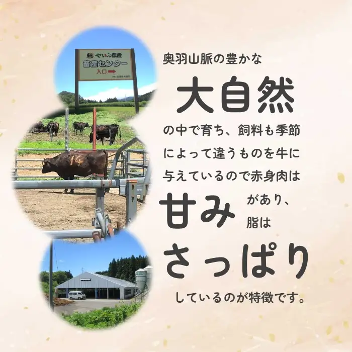 きたかみ牛　サーロインステーキ　300g×2枚　西部開発農産 岩手県 北上市 I0116 きたかみ牛 黒毛和牛 牛肉 お肉 お歳暮 ギフト のし対応 熨斗