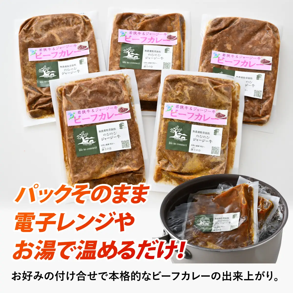 ビーフカレー 若狭牛 ジャージー牛 5パック [A-054006]
