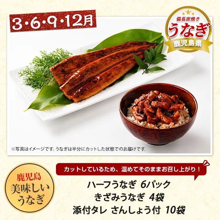 【全３回定期便】鹿児島県産牛・豚・鰻バラエティ定期便(IBZ999-004) 