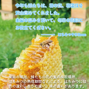 GD006_日本蜜蜂の純粋はちみつ＊　３００ｇ×２