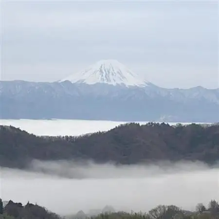 【2026年発送】10月中旬発送「牧丘天空の丘マスカットノワール」約1kg(2～3房)【配送不可地域：離島】【1579850】
