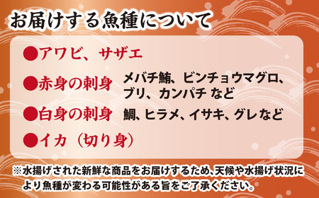 アワビと地魚の盛合わせ(刺身約35切)【ハーフsize】 （12月1日から7月到着分） マグロ まぐろ 鮪 イカ いか 烏賊 カンパチ かんぱち 勘八 サザエ さざえ 栄螺 アワビ あわび 鮑 海鮮 魚貝類 魚介類 刺身 刺し身 旬の刺身 手軽 簡単 冷蔵 三重県 尾鷲市 UO-f-62