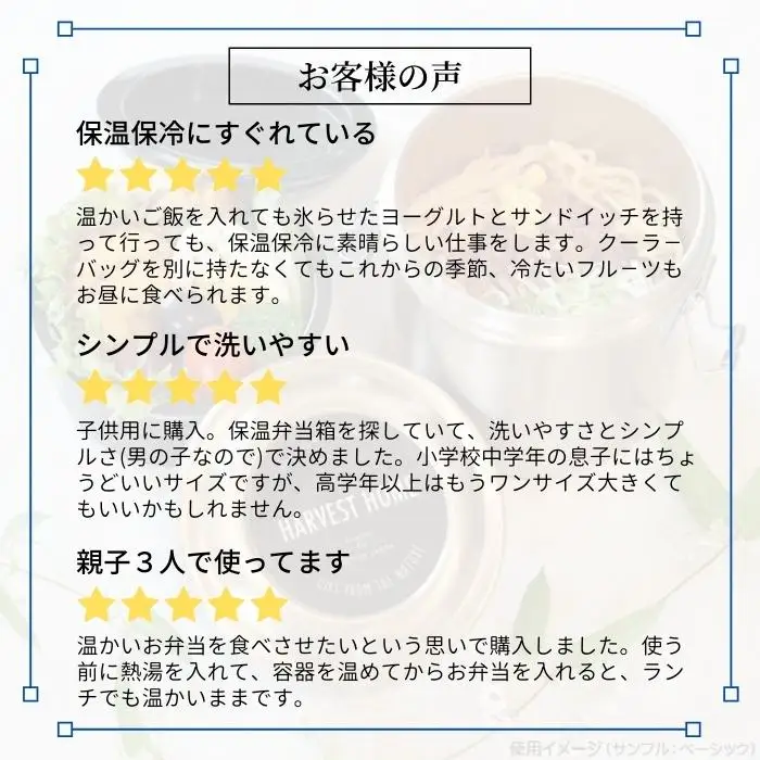弁当箱 600ml 2段 STLB1AG 550317ステンレス弁当箱 10-087