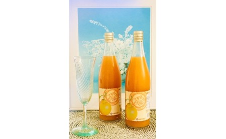 三ヶ日デコジュース100％ 720ml 3本入【配送不可：離島】 果汁飲料 野菜飲料 みかんジュース 